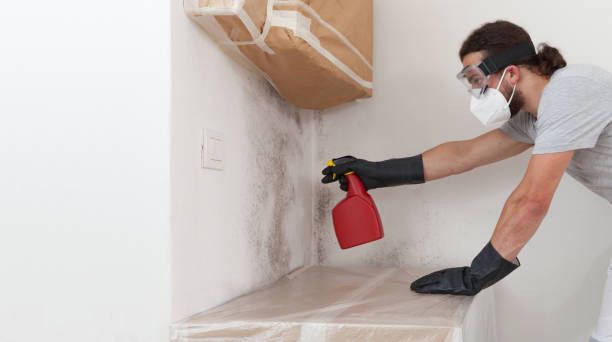 Professional Black Mold Remediation technician working in Hines, OR